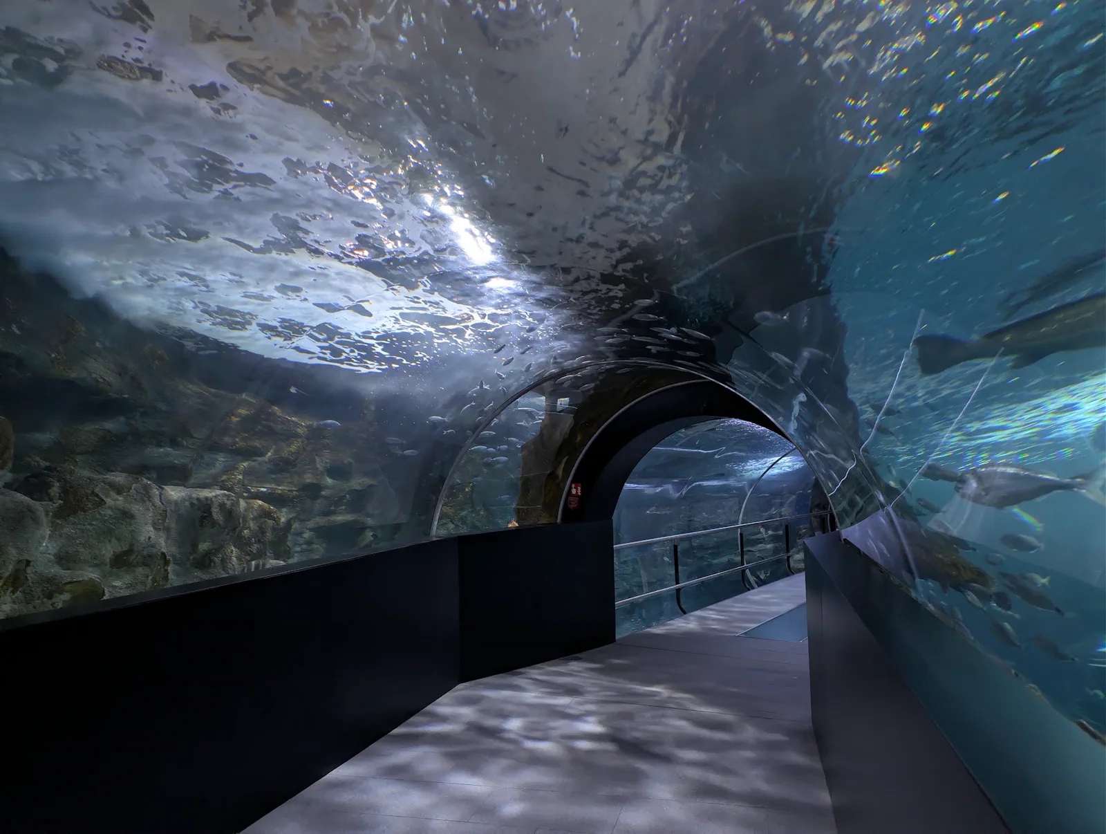El túnel acristalado del oceanario del Aquarium de San Sebastián, completamente vacío, con los peces nadando sobre la bóveda