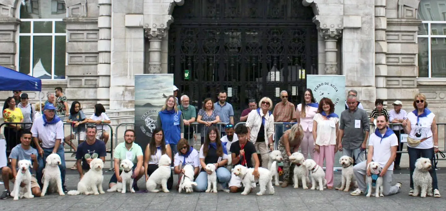 XVII Monográfica Nacional ‘Perro de Agua del cantábrico' | Semana Grande 2026 de Santander