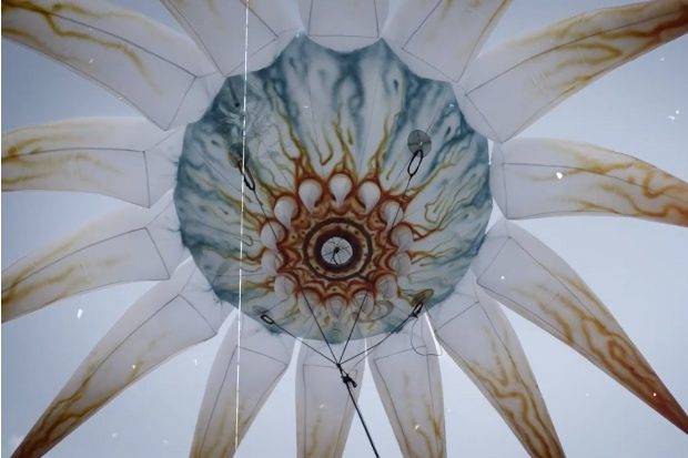 La ballena mágica sigue siendo la estrella de las fiestas