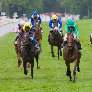 Carreras de caballos. Copa de Oro