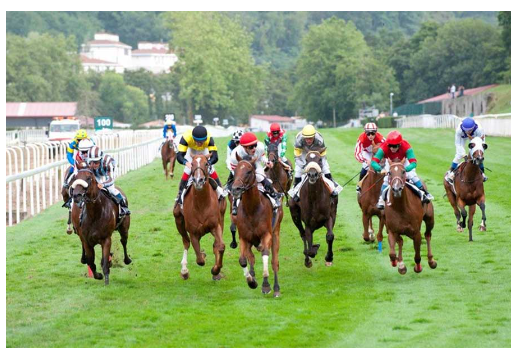Carreras de caballos. Premio Hotel María Cristina