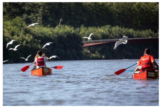 Visitas guiadas en canoa