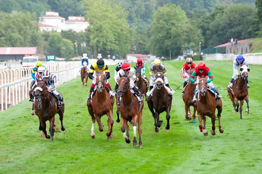 Carreras de caballos. Gran Premio de Yeguas