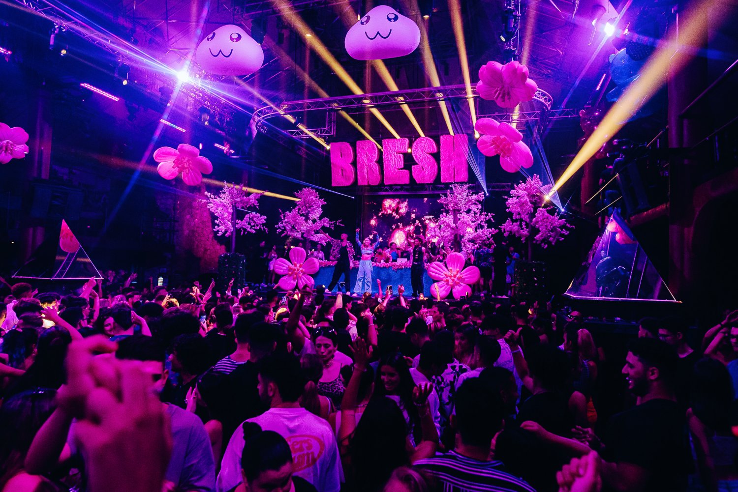 Fiesta Bresh